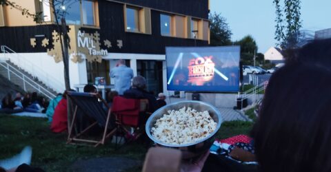 Médiathèque - Ciné plein air