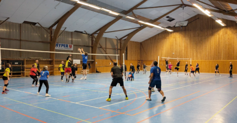 Volley